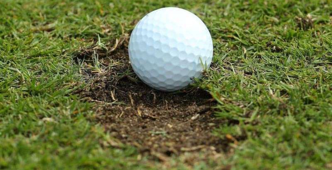 Prompt Response: Should Golfers Get Free Relief From Fairway Divots?