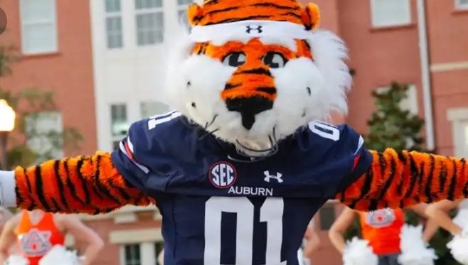 Exclusive: Transfer Quarterback Takes Interest In Auburn Tigers