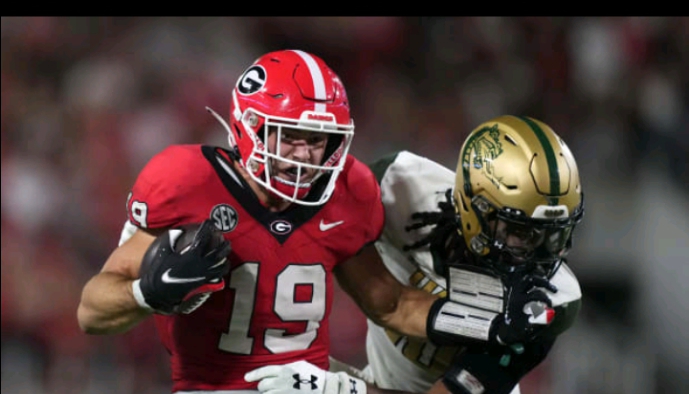 Letting the cat out of the bag: Georgia Bulldogs Tight End Brock Groves Will Do without NFL Join Exercises