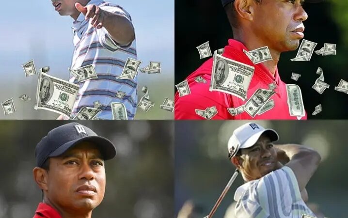 Tiger Woods says that the PGA Tour does not need PIF money