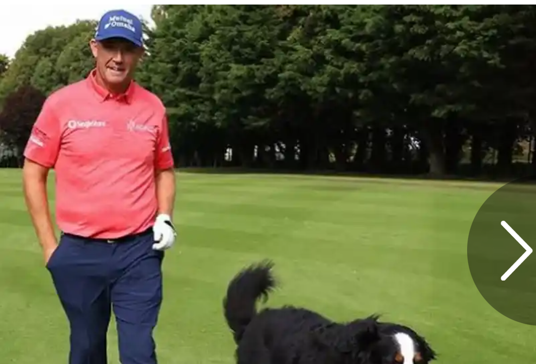 Sad day for Padraig Harrington and family as beloved pet dog dies