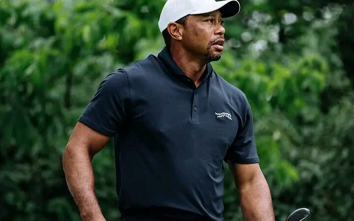 Tiger Woods says he has undergone successful back surgery.