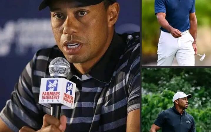 Landing Tiger Woods’ cash was just one step toward reinventing miniature golfLanding Tiger Woods’ cash was just one step toward reinventing miniature golf