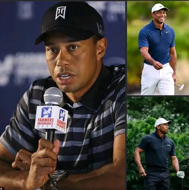 Landing Tiger Woods’ cash was just one step toward reinventing miniature golfLanding Tiger Woods’ cash was just one step toward reinventing miniature golf